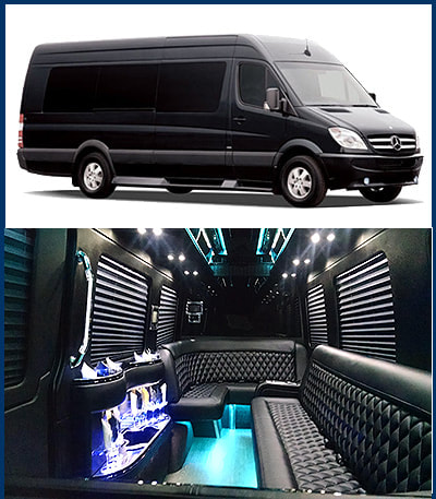 12-14 Passenger Sprinter Party Bus Houston, The Woodlands, Spring, Tomball, Kingwood, Conroe, Katy, Cypress